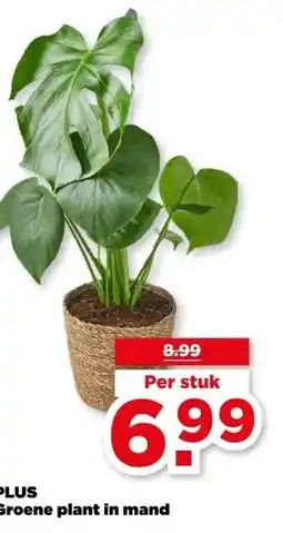 PLUS PLUS Groene plant in mand aanbieding