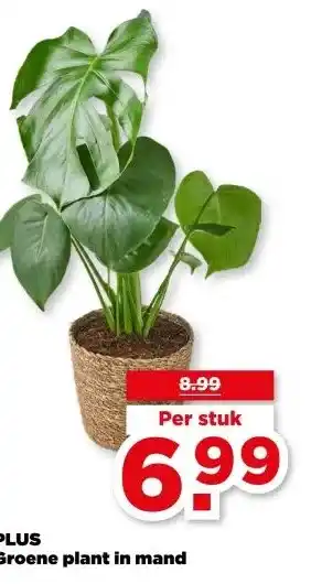 PLUS PLUS Groene plant in mand aanbieding