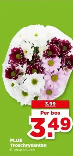PLUS PLUS Troschrysanten aanbieding