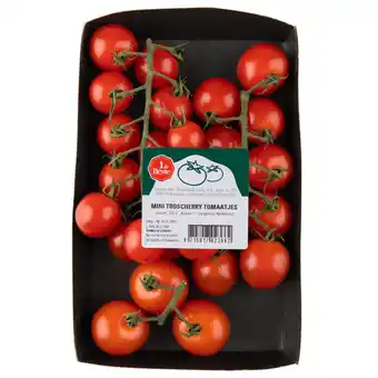 Dirk 1 de Beste Mini cherry trostomaten aanbieding