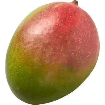 Dirk Mango aanbieding