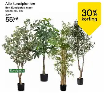 Leen Bakker Alle kunstplanten aanbieding