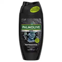 Kruidvat Palmolive For Men Pure Arctic Refreshing 3-In-1 Douchegel aanbieding