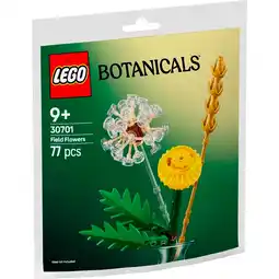Kruidvat LEGO Botanicals 30701 Veldbloemen aanbieding