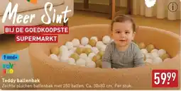 ALDI Teddy ballenbak aanbieding