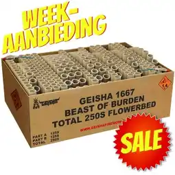 Huisman Vuurwerk Beast of Burden Weekaanbieding aanbieding