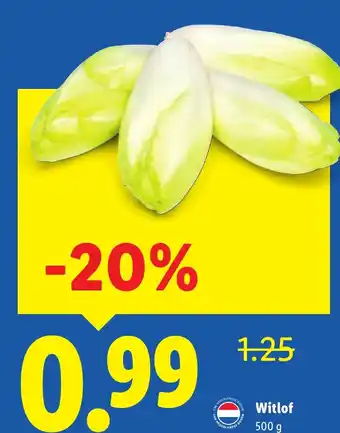 Lidl Witlof aanbieding