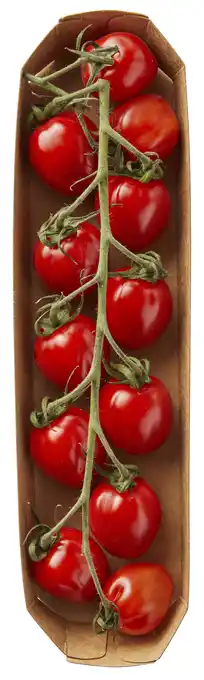 PLUS PLUS Mini trospruim tomaat aanbieding