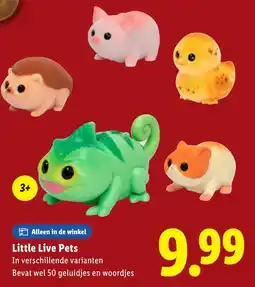 Lidl Little Live Pets aanbieding