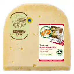 PLUS GIJS Boerenkaas jong belegen 48+ stuk aanbieding