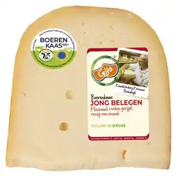 PLUS GIJS Boerenkaas jong belegen 48+ stuk aanbieding