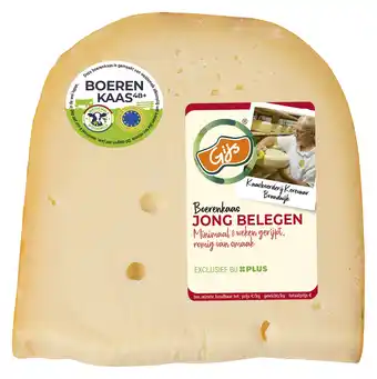 PLUS GIJS Boerenkaas jong belegen 48+ stuk aanbieding