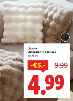 Lidl Livarno Sierkussen in bontlook aanbieding