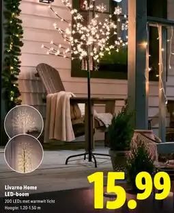 Lidl Livarno Home LED-boom aanbieding