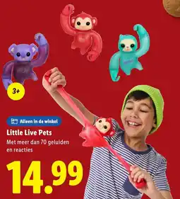 Lidl Little Live Pets aanbieding