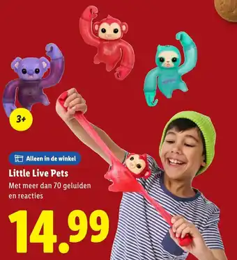 Lidl Little Live Pets aanbieding