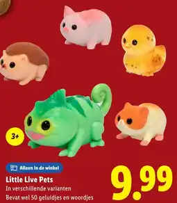 Lidl Little Live Pets aanbieding