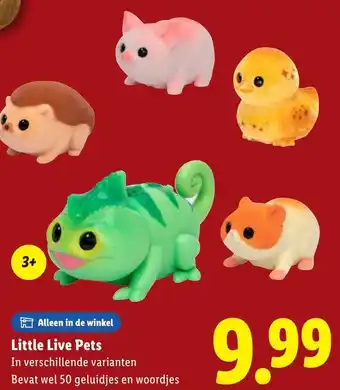 Lidl Little Live Pets aanbieding