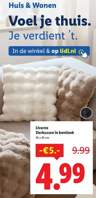 Lidl Livarno Sierkussen in bontlook aanbieding