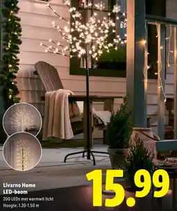 Lidl Livarno Home LED-boom aanbieding