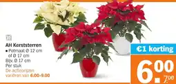 Albert Heijn AH Kerststerren aanbieding