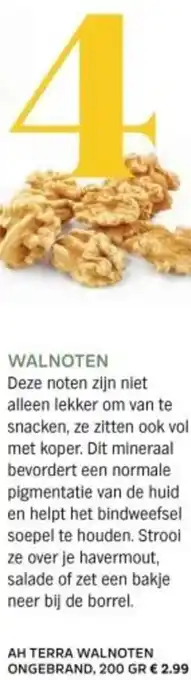 Ah terra walnoten ongebrand