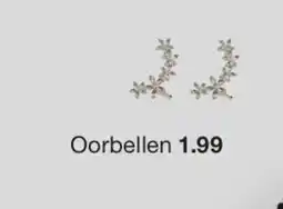 Zeeman Oorbellen aanbieding