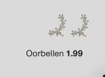Zeeman Oorbellen aanbieding