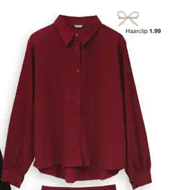 Zeeman Haarclip aanbieding