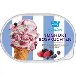 Dekamarkt Hertog Ijs yoghurt bosvruchten aanbieding