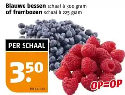 Poiesz Blauwe bessen of frambozen aanbieding