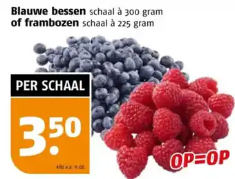 Poiesz Blauwe bessen of frambozen aanbieding