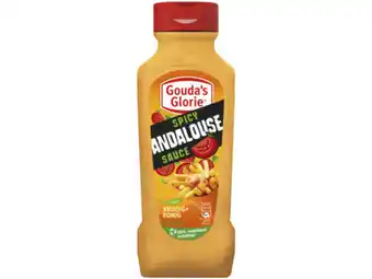 Hoogvliet Gouda's Glorie Andalouse snacksaus aanbieding