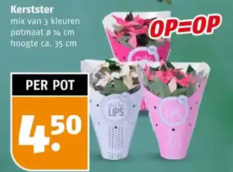 Poiesz Kerstster aanbieding