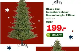 Welkoop Black Box kunstkerstboom Meran hoogte 215 cm 0137 cm. aanbieding