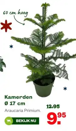 Welkoop Kamerden aanbieding