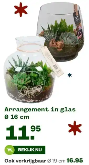 Welkoop Arrangement in glas aanbieding