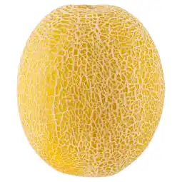 Dekamarkt Galia meloen aanbieding