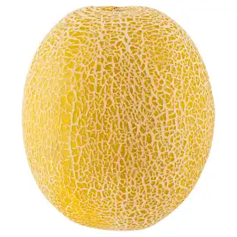 Dekamarkt Galia meloen aanbieding