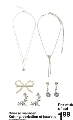 Zeeman Ketting, oorbellen of haarclip aanbieding