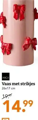 Blokker Vaas met strikjes aanbieding