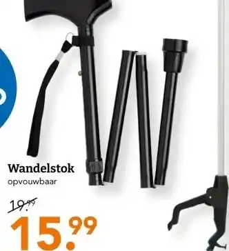 Blokker Wandelstok aanbieding