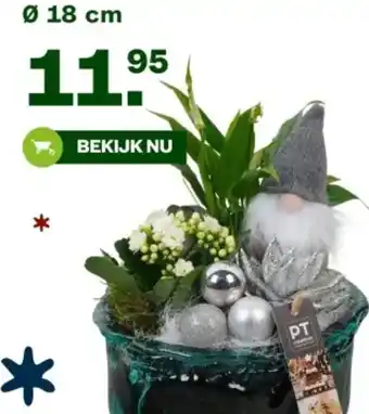 Welkoop Kerst arrangement aanbieding