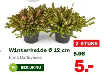 Welkoop Winterheide aanbieding