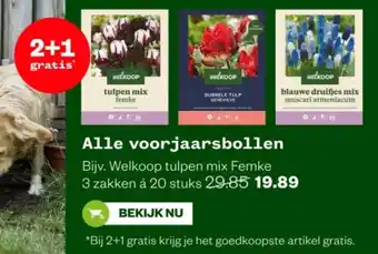 Welkoop Alle voorjaarsbollen aanbieding