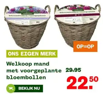 Welkoop Welkoop mand met voorgeplante bloembollen aanbieding