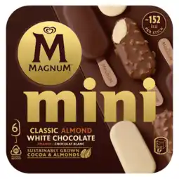 Jumbo Magnum Mini IJs Mix 6 stuks 6 x 55ml aanbieding