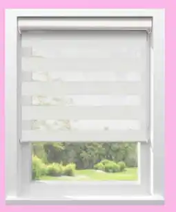 Kwantum Robin aanbieding