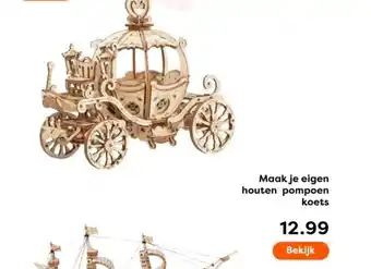 The Read Shop Maak je eigen houten pompoen koets aanbieding