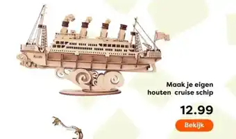 The Read Shop Maak je eigen houten cruise schip aanbieding
